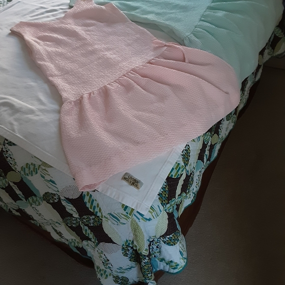 2 Dresses with a drop waist and zipper on the back. - Picture 4 of 8